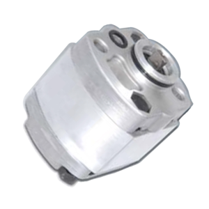 CBKS Reversible Gear Pump