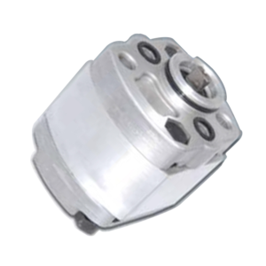 CBKS1 Reversible Gear Pump