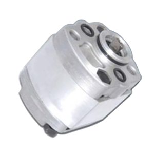 CBKS2 Reversible Gear Pump