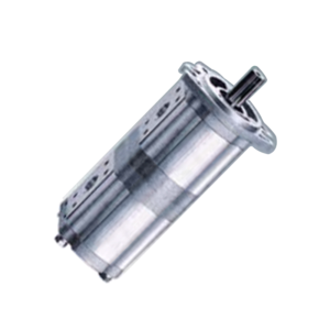 CBTSL-G Two-way Flow Gear Pump