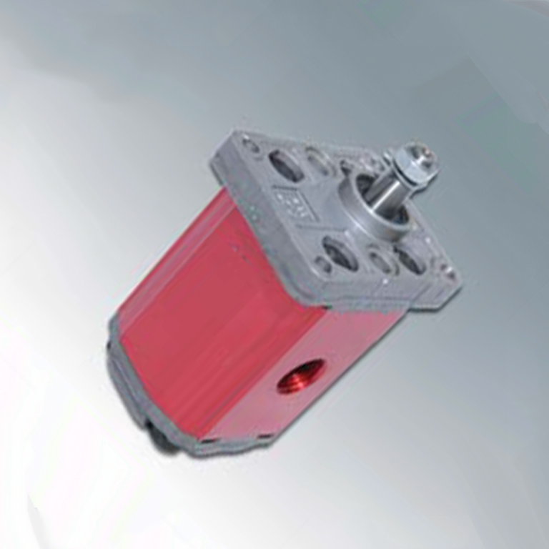 CMS Reversible Gear Pump - Easthydraulics